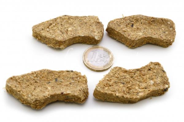 Lunderland Dorsch Nuggets