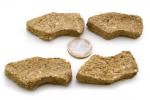 Lunderland Dorsch Nuggets